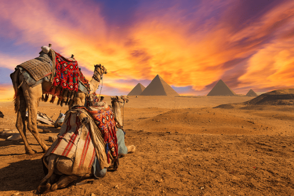 07 Days Cairo and Nile Cruise Package
