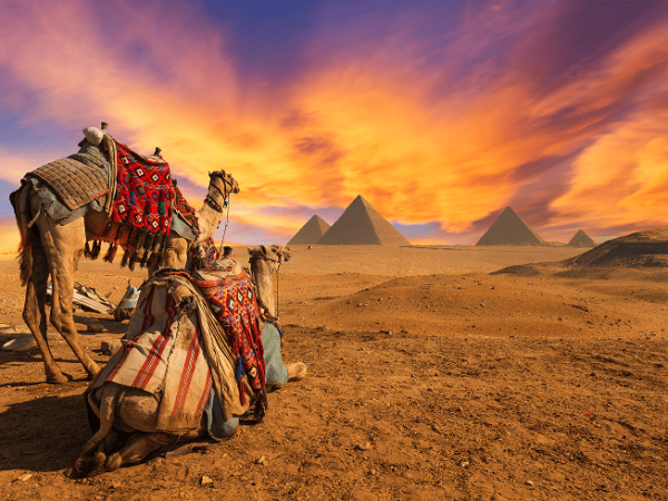 07 Days Cairo and Nile Cruise Package