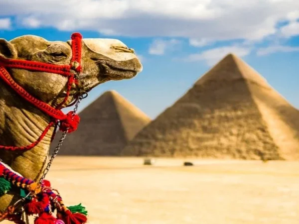 07 Days Egypt Tour December