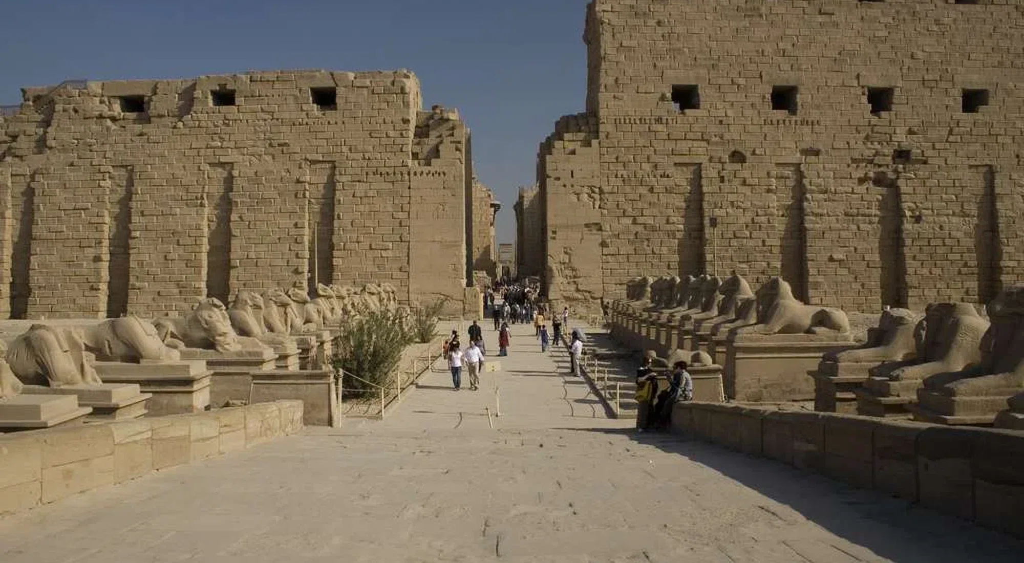 The Avenue Sphinxes