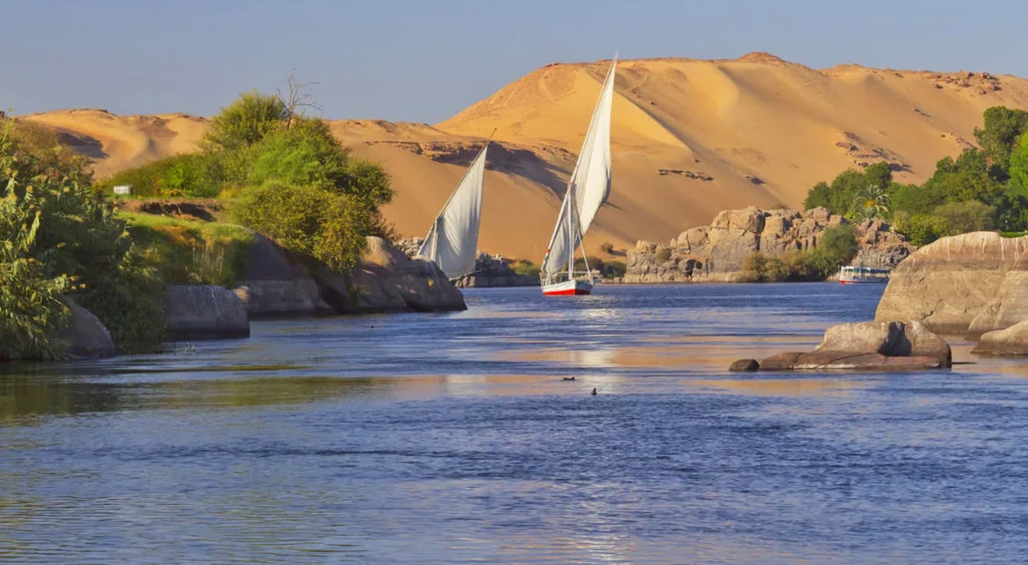 The Rvery The Nile River - Vibes