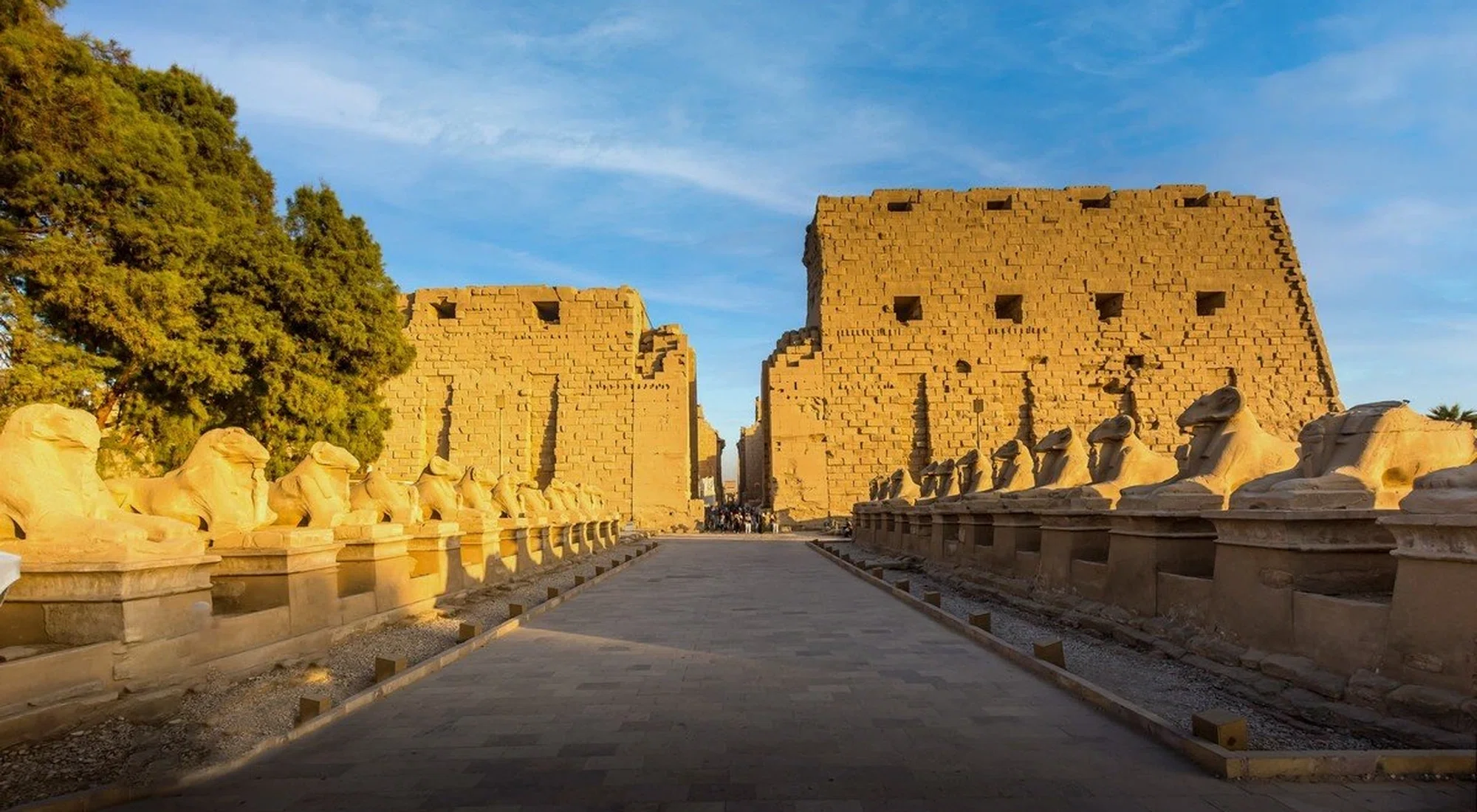 Top Day Trips From Cairo