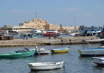 What To Do In Alexandria?